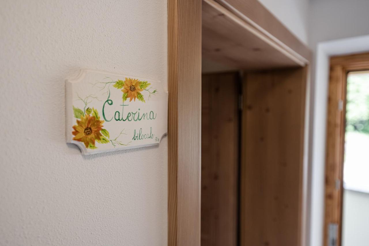 Villetta Val Di Sole コンメッツァドゥーラ エクステリア 写真