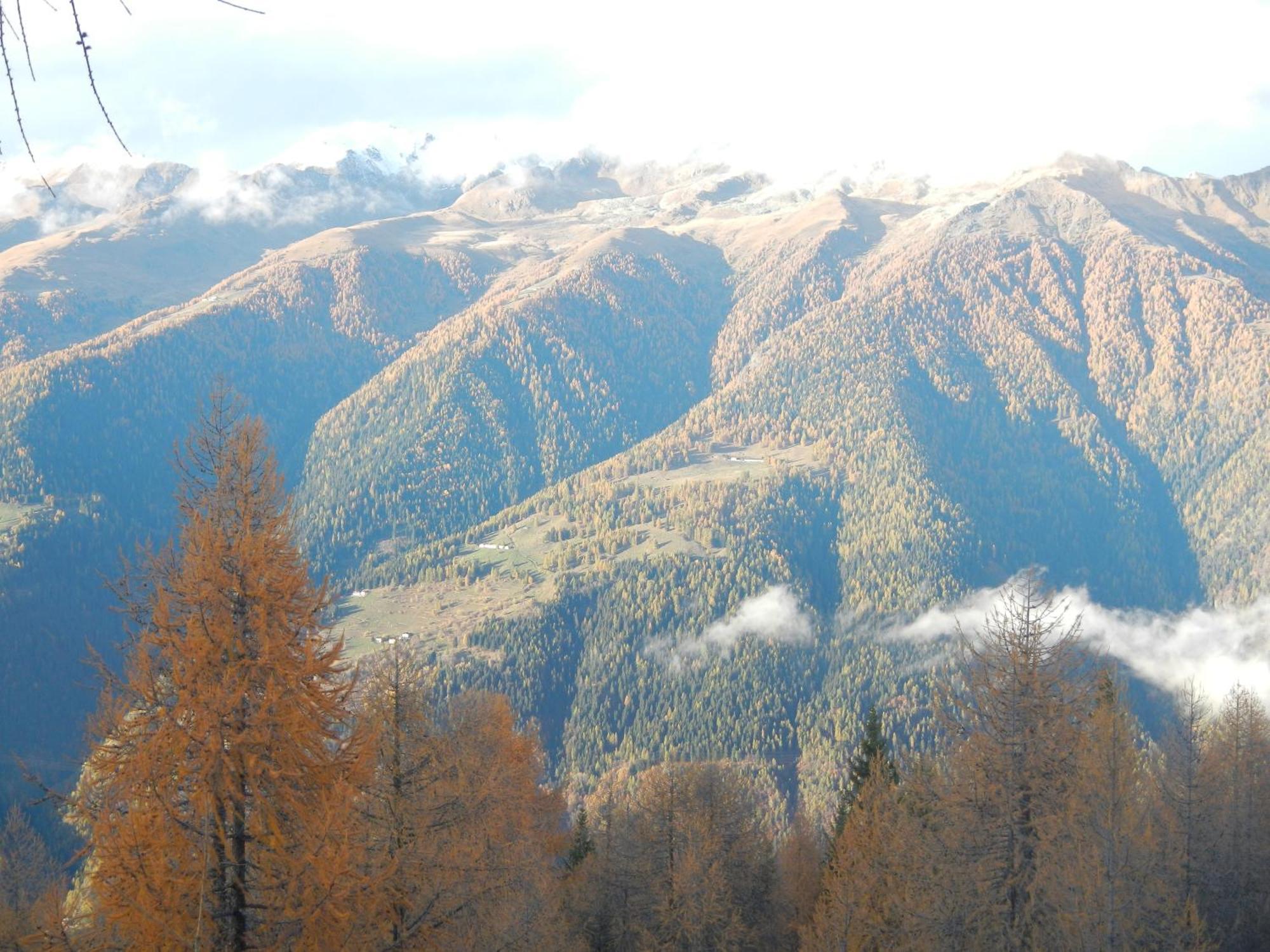 Villetta Val Di Sole コンメッツァドゥーラ エクステリア 写真