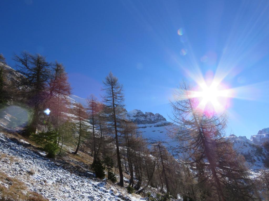 Villetta Val Di Sole コンメッツァドゥーラ エクステリア 写真